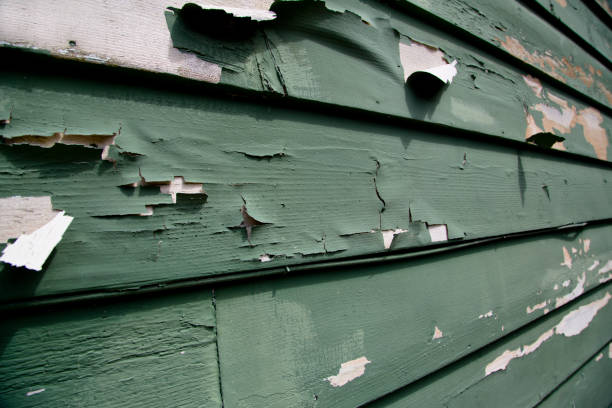 Affordable Siding Repair and Maintenance Services in Mart, TX